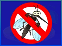 Mosquitozzz
